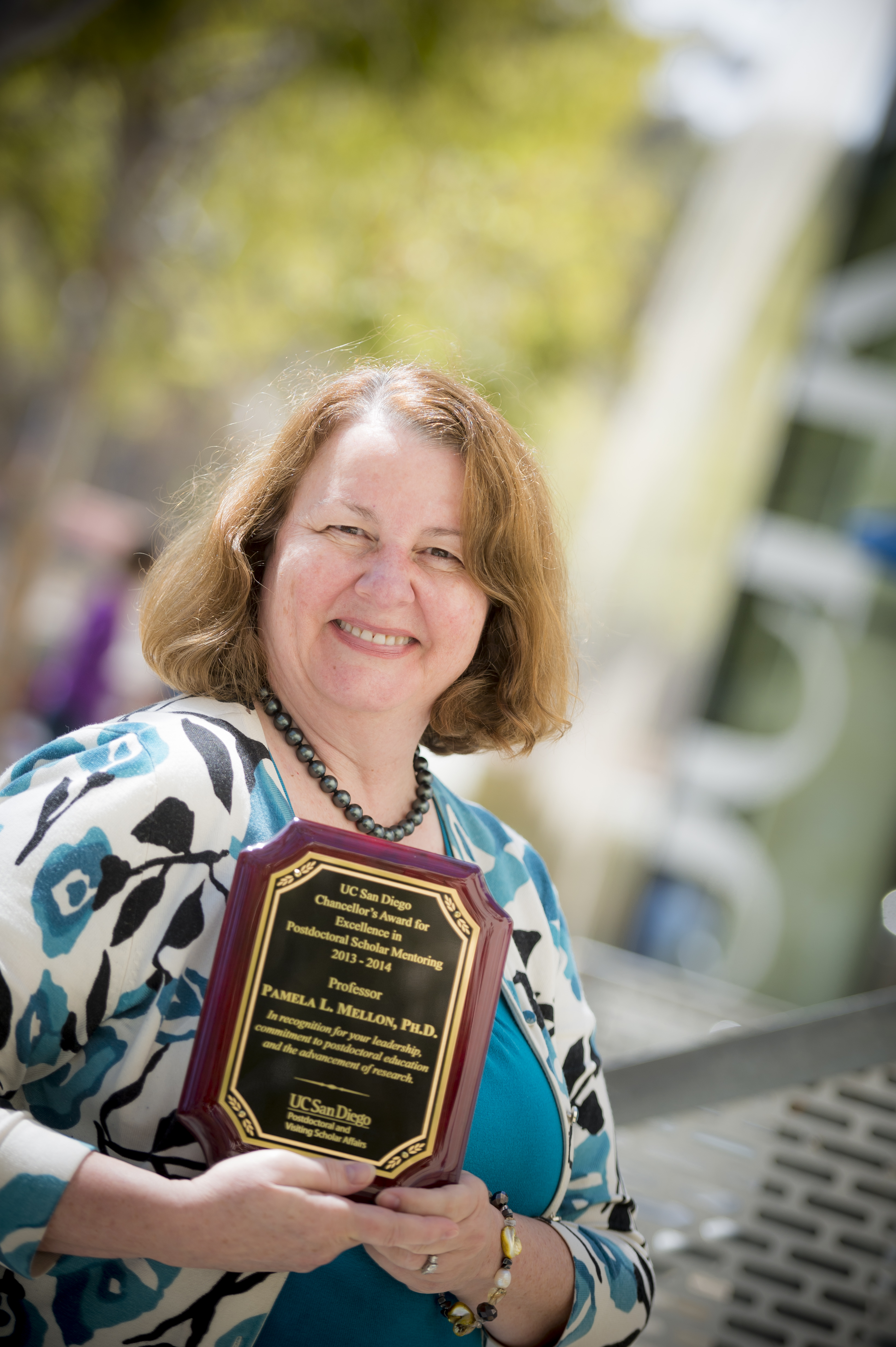 Mellon 2013 Chancellors Award Mentor