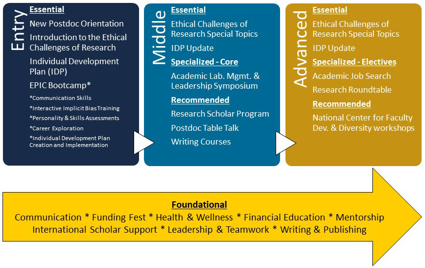 academic-research-path.jpg