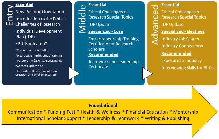 Career Development and Entrepreneurship